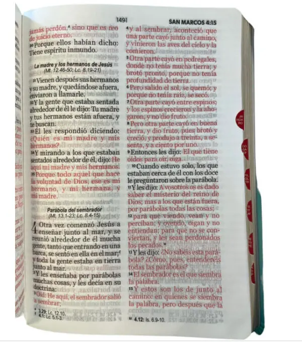 Biblia Reina Valera 1960 045 LG Bifloral Turquesa - Imagen 2