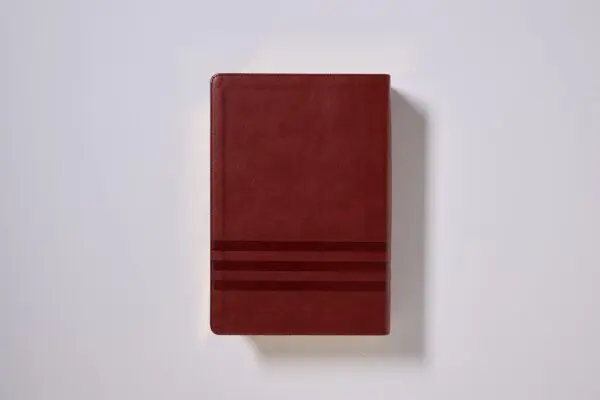 Biblia De Estudio Teologia Biblica NVI Cafe Indice - Imagen 4