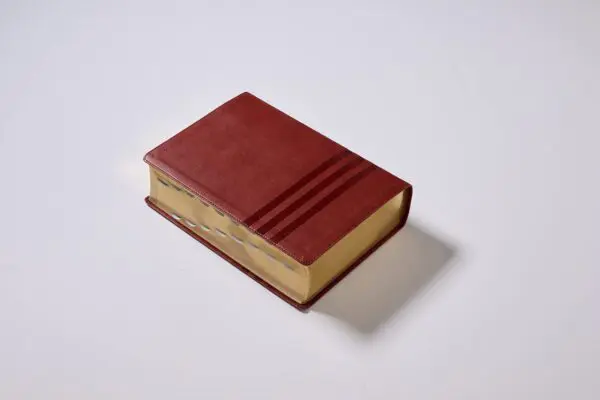 Biblia De Estudio Teologia Biblica NVI Cafe Indice - Imagen 3