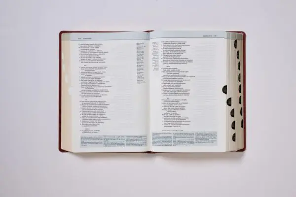 Biblia De Estudio Teologia Biblica NVI Cafe Indice - Imagen 2