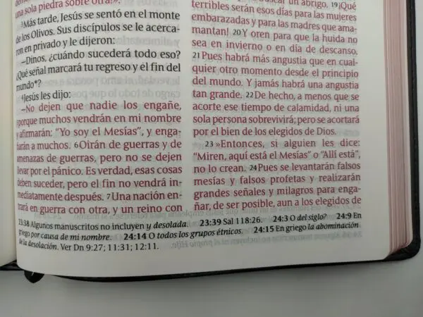 Santa Biblia NTV  Edición clásica letra gigante - Imagen 2