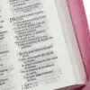Biblia Mi Gran Viaje Reina Valera 1960 Rosada Cierre - Imagen 3