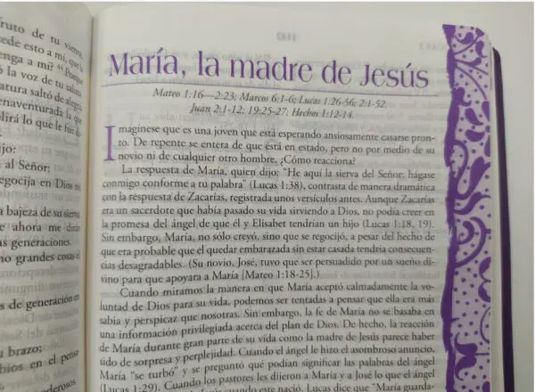 Biblia Mujer de Hoy RVR60 Piel  Purpura - Imagen 3
