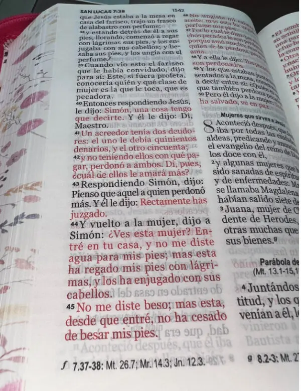 Biblia RVR60 045 LG Primaveral Fucsia con cierre - Imagen 2