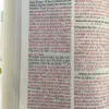 Biblia RVR60 062 LG  Esferas de  Fantasía - Imagen 2