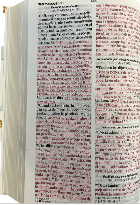 Biblia RVR60 062 LG  Esferas de  Fantasía - Imagen 2