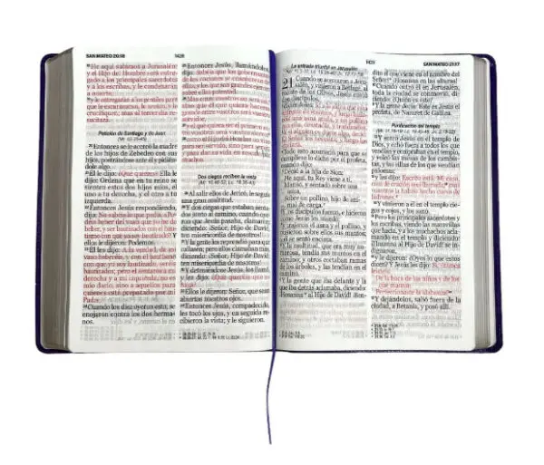 Biblia RVR60  Letra Super Gigante clásica Lila Piel - Imagen 2