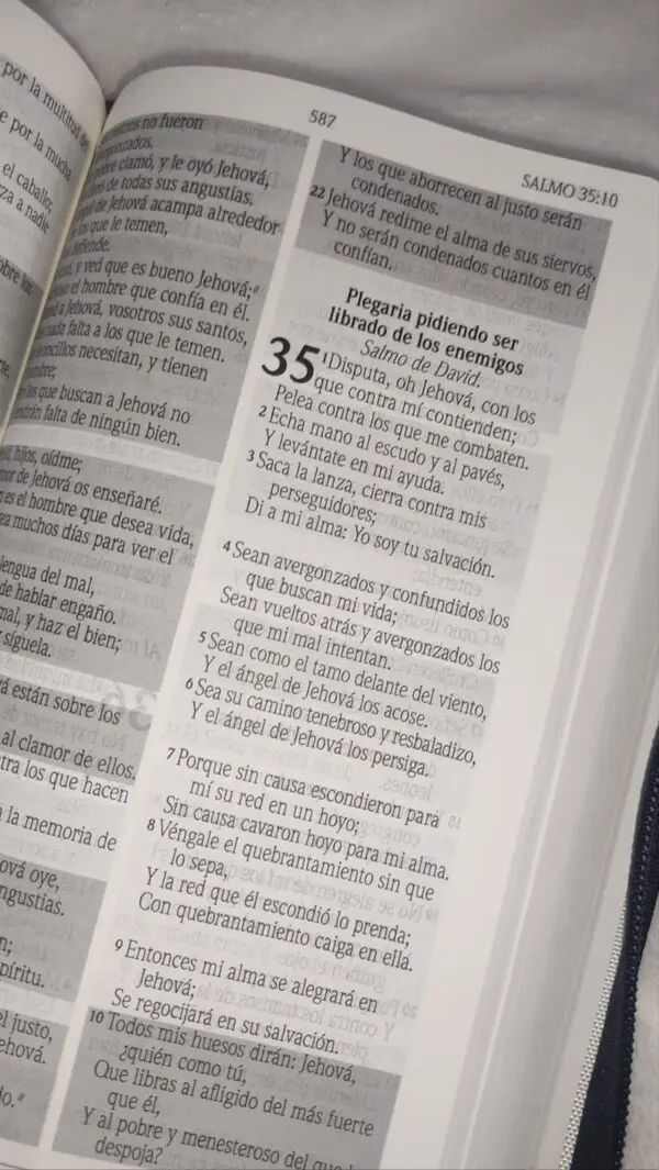 Biblia de Promesas Letra Grande Reina Valera 1960 en Tela - Imagen 5