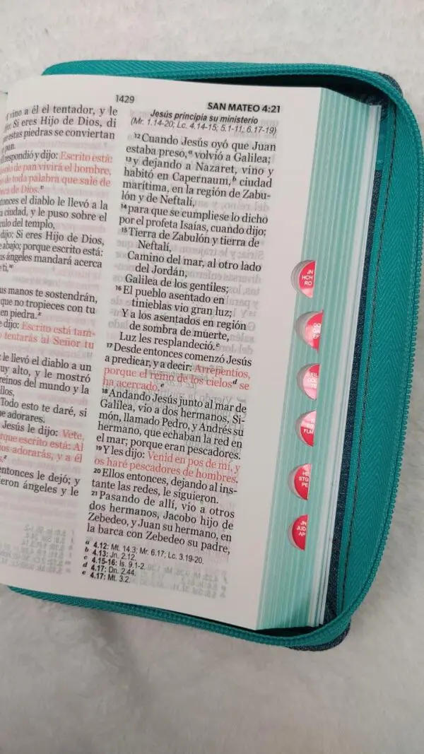 Biblia Reina Valera 1960 LG Tapa Tela Jean - Imagen 3