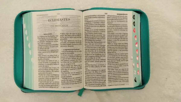 Biblia Reina Valera 1960 LG Tapa Tela Jean - Imagen 4