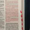 Biblia Compacta RV60/ Tela en Jean/ 11 puntos - Imagen 4