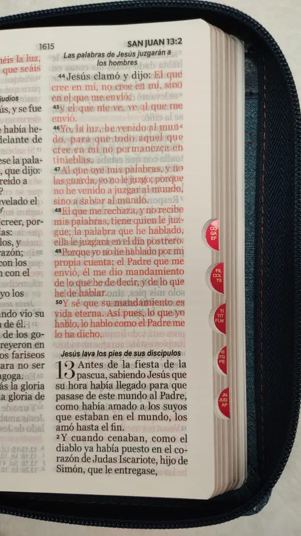 Biblia Compacta RV60/ Tela en Jean/ 11 puntos - Imagen 4