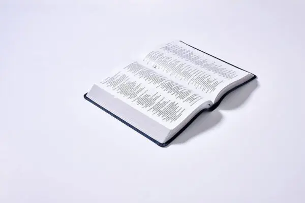 Biblia Del Ministro/NVI Revisión 2022/Azul Marino/Índice - Imagen 3