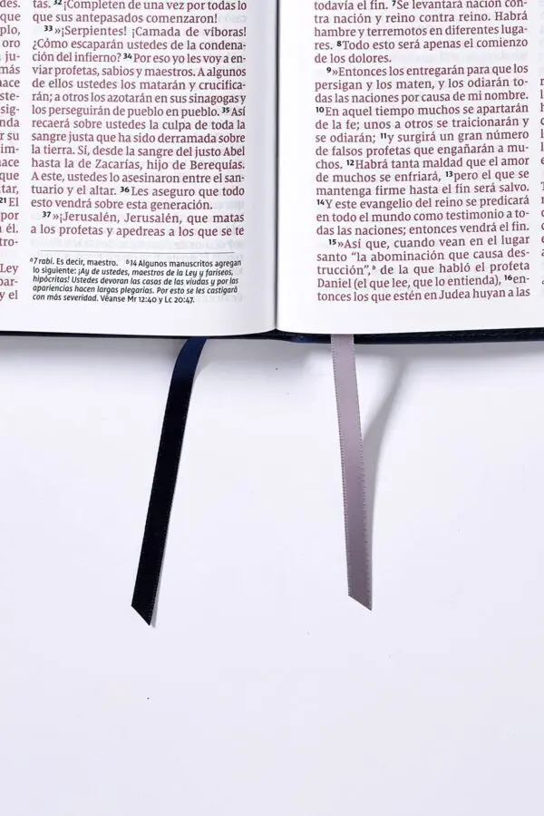 Biblia/NVI/Revisión 2022/Ultrafina/Letra Gigante/Imitación/Azul Marino/PJR - Imagen 5