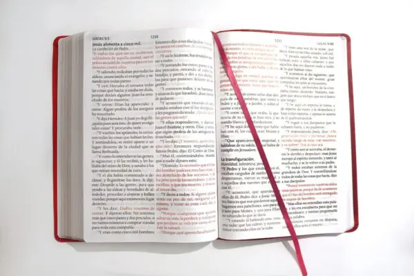 Biblia RVR 1909/Letra Super Gigante/Imitacion Piel/Fucsia