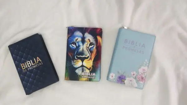 Biblia de Promesas Letra Grande Reina Valera 1960 en Tela - Imagen 4