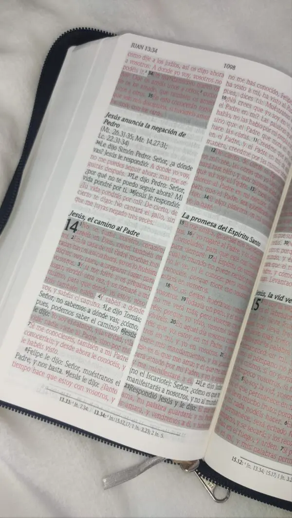 Biblia de Promesas Letra Grande Reina Valera 1960 en Tela - Imagen 6