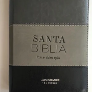 Biblia Reina Valera 1960 11 puntos