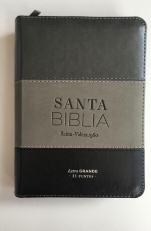 Biblia Reina Valera 1960 11 puntos