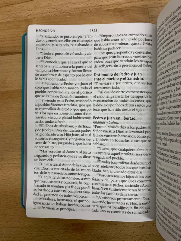 Biblia RVR 1909/Letra Super Gigante/Imitación Piel/Aguamarina - Imagen 2
