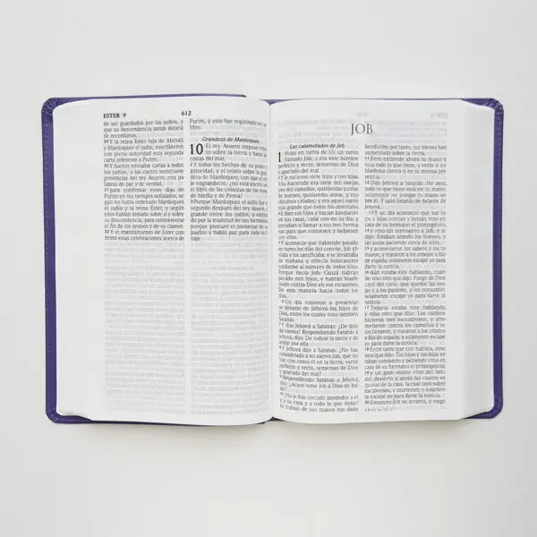 Biblia RVR1960 Manual Letra Grande / Imitación Piel Lila - Imagen 2