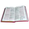 Biblia/RVR1960/Manual 065/LG - 12 Puntos/PJR/Imitacion Piel/Fucsia