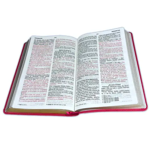 Biblia/RVR1960/Manual 065/LG - 12 Puntos/PJR/Imitacion Piel/Fucsia