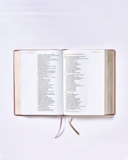 Biblia NBLA Ama A Dios Grandemente Oro Rosa - Imagen 3