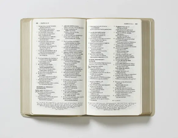 NBLA Santa Biblia  Letra Grande Beige  La Puerta - Imagen 2