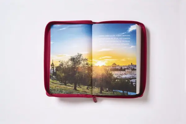 Biblia RVR60/ Tierra Santa/ Ultrafina/ Letra grande - Imagen 5