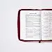 Biblia RVR60/ Tierra Santa/ Ultrafina/ Letra grande - Imagen 6