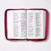 Biblia RVR60/ Tierra Santa/ Ultrafina/ Letra grande - Imagen 4