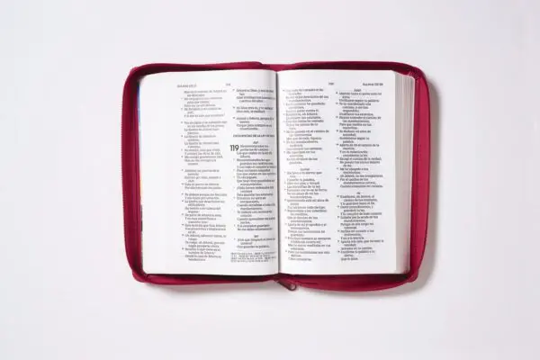 Biblia RVR60/ Tierra Santa/ Ultrafina/ Letra grande - Imagen 4
