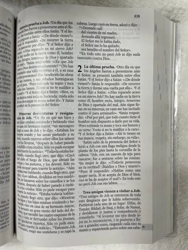 Nuestra Sagrada Biblia Misión Continental Letra Grande - Imagen 3
