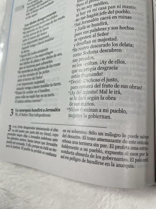 Nuestra Sagrada Biblia Misión Continental Letra Grande - Imagen 4