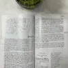 Nuestra Sagrada Biblia Misión Continental Letra Grande - Imagen 5