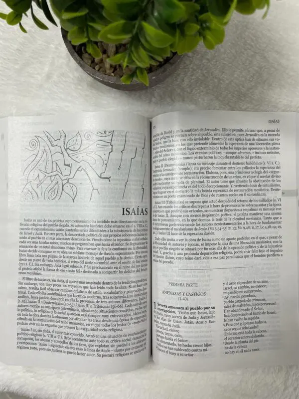 Nuestra Sagrada Biblia Misión Continental Letra Grande - Imagen 5