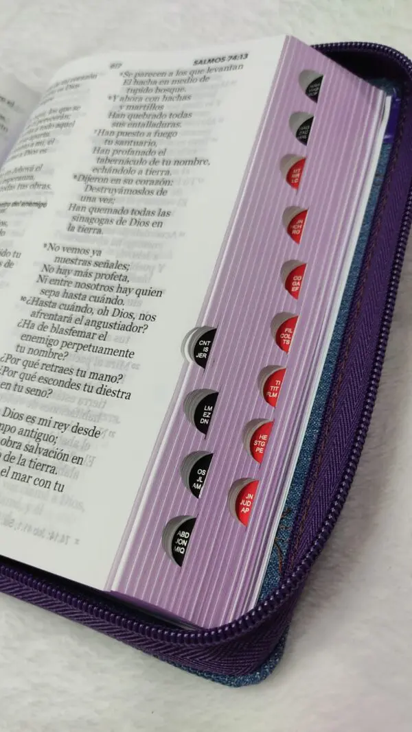RVR60 Biblia Jean Tamaño Manual Letra Grande - Imagen 3