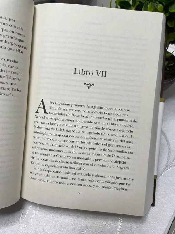 Clásicos de la fe: Augustín de Hipona - Imagen 4