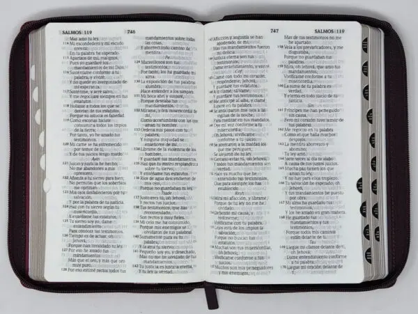 Biblia RVR60 LG tamaño manual con cierre con índice - Imagen 3