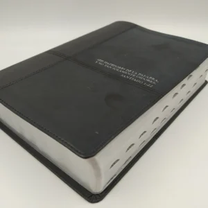 Biblia RVR60 de Estudio Diario Vivir sentipiel índice