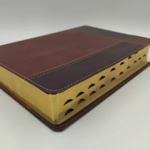 Biblia RVR60 de Estudio Ryrie Ampliada Marrón Dúo Índice