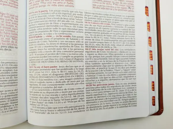 Biblia RVR60 Vida Plena de estudio con índice/ símil piel - Imagen 5