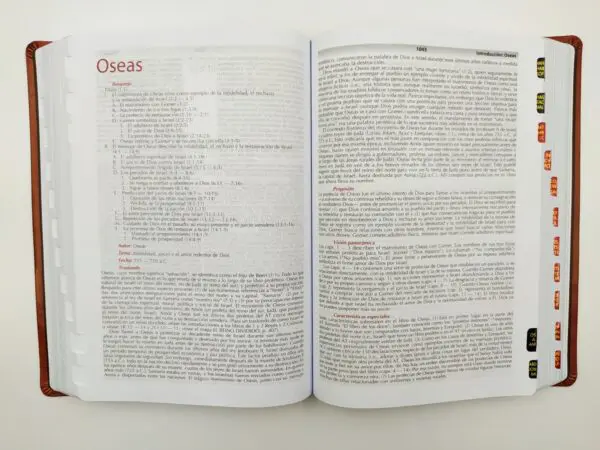 Biblia RVR60 Vida Plena de estudio con índice/ símil piel - Imagen 6