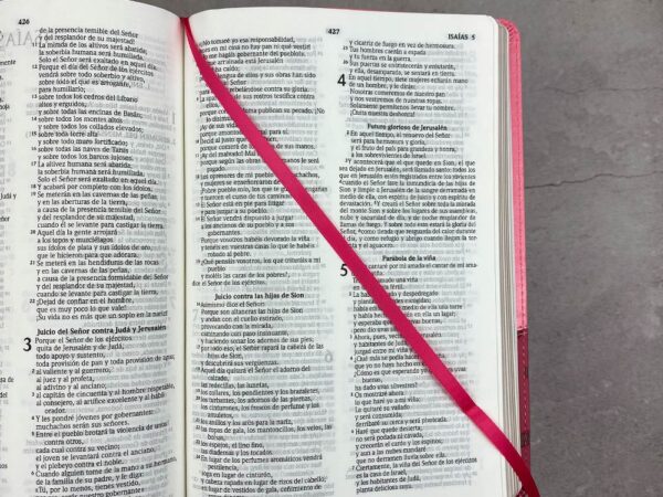 Biblia RVR 2020 Rosa Rosa Corazones - Imagen 4