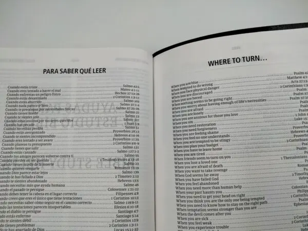 Biblia Bilingüe RVR60 CSB Negro - Imagen 7