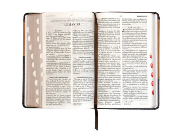 Biblia RVR60 LG Tamaño Manual Símil Piel Duotono con Índice - Imagen 2