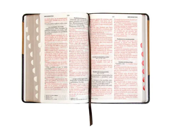 Biblia RVR60 LG Tamaño Manual Símil Piel Duotono con Índice - Imagen 4