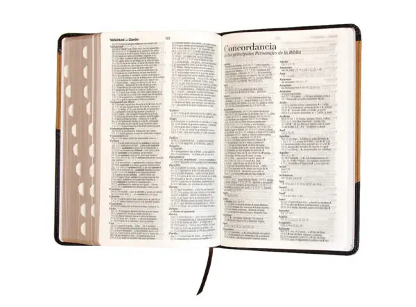 Biblia RVR60 LG Tamaño Manual Símil Piel Duotono con Índice - Imagen 5