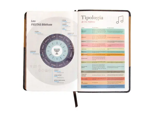 Biblia RVR60 LG Tamaño Manual Símil Piel Duotono con Índice - Imagen 7